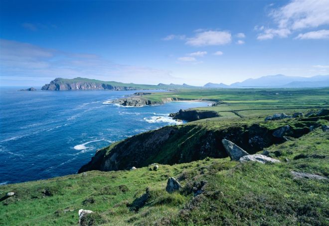 革！爱尔兰猪肉抢占新赛道MG不朽情缘猪肉消费大变(图6)